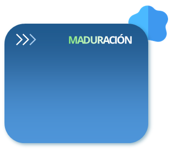 Tarjeta Maduración